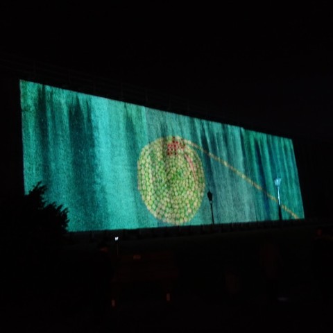 DSC00041