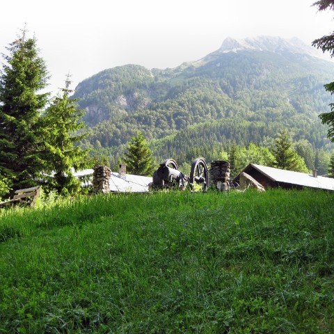 IMG 1990