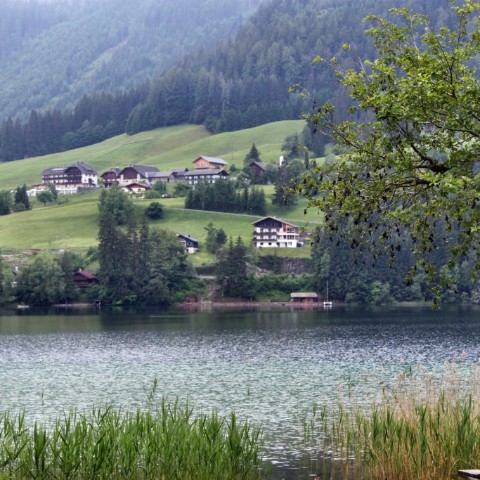 IMG 0637