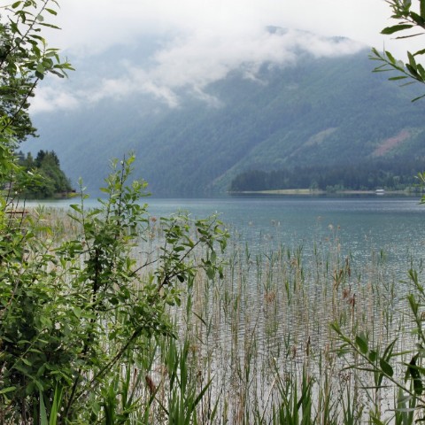 IMG 0639