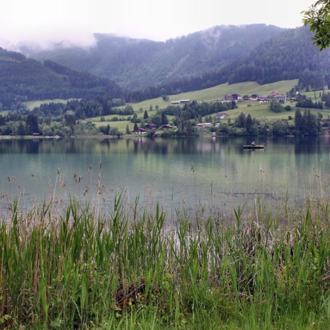 IMG 0644