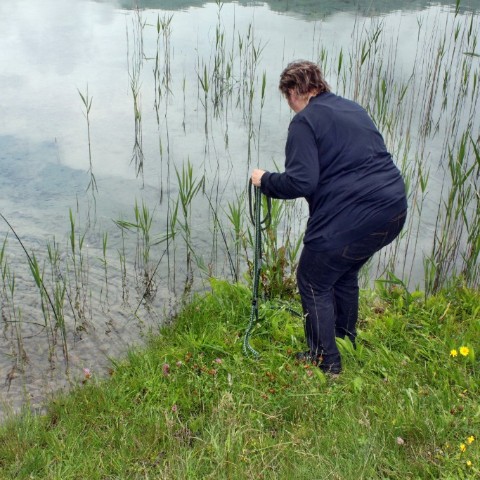 IMG 0650
