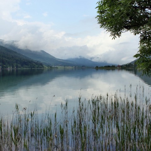 IMG 0653