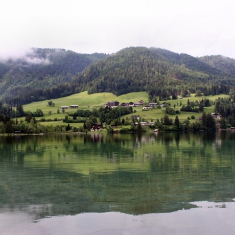 IMG 0655