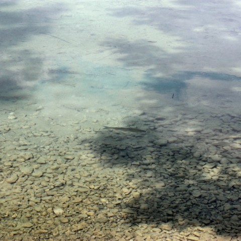 IMG 0658