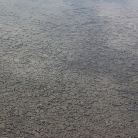 IMG 0662