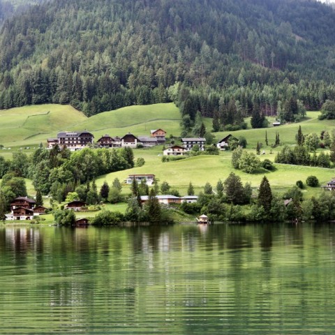 IMG 0664